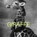 GIRAFFE LIFE