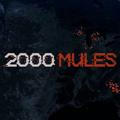 2000 Mules Q