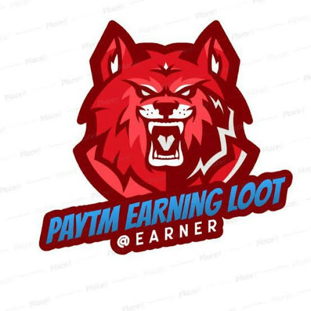 Paytm Earnings