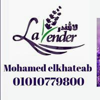 لافندر - Lavender