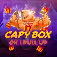 CAPY BOX
