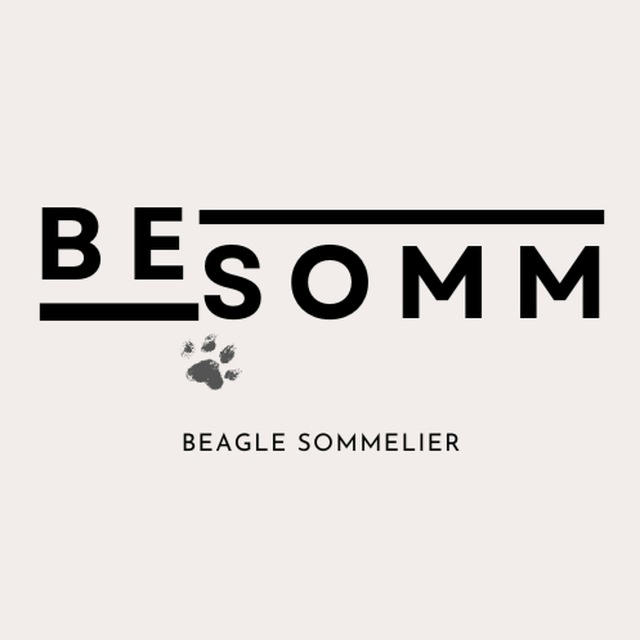 Beagle sommelier | Вино и бигль