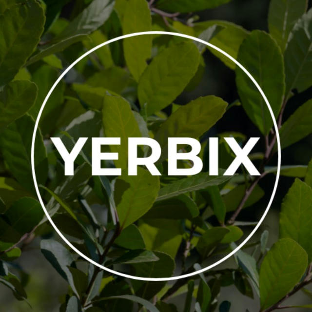 Yerbix - интернет магазин йерба мате