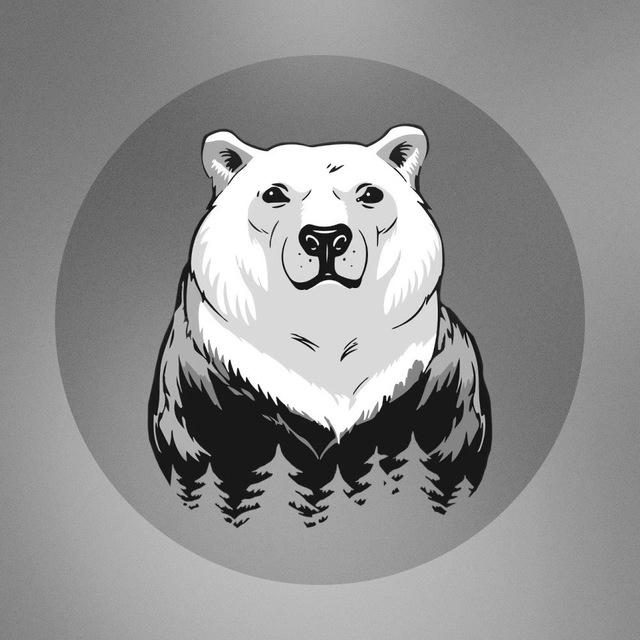 СШ «Сибирские медведи» г. Новый Уренгой