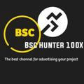 Bsc Hunter 100X