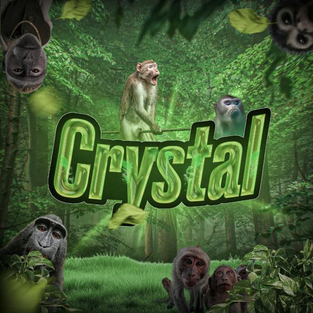 STORE CRYSTAL