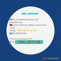 USA_ASYLYМ