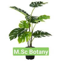 Msc Botany Zoology