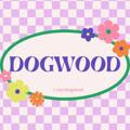 Dogwood, close