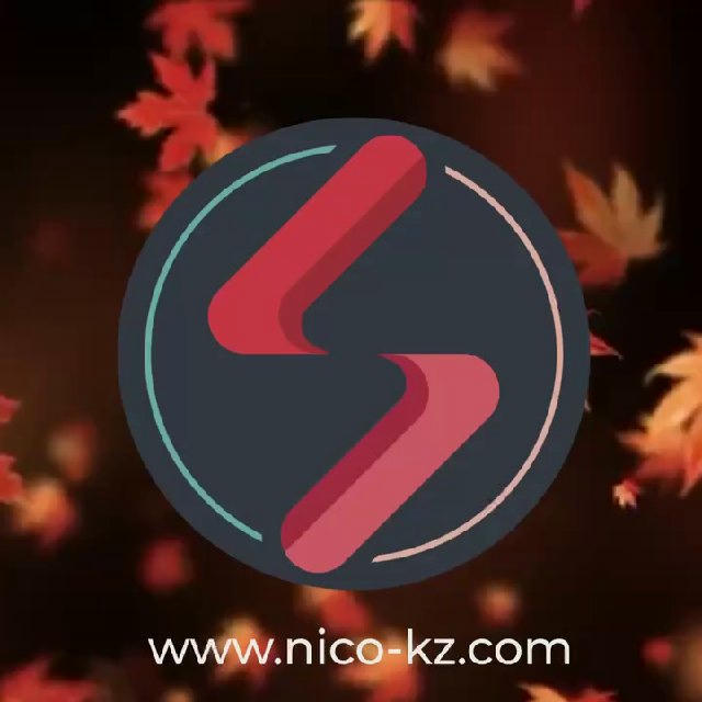 Nico-kz.com