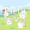 FIELD BUNNY : ROMBAKKK