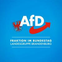 AfD-Landesgruppe Brandenburg im Bundestag