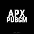 APX PUBGM 🇺🇿