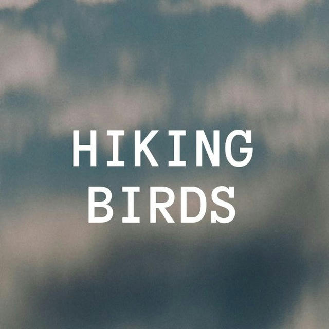 Hiking Birds. Открытия на каждом шагу