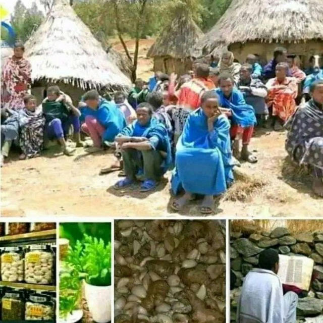 እፀ ፈዉስ ከፍተኛ የባህል ህክምና🌿🌴🌿