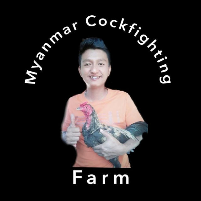 Myanmar Cockfighting Farm Official(Phyo Waii Ko)