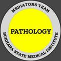 Pathology[Mediators' team]