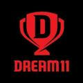 Dream11 team provider 🏏