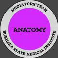 Anatomy [Mediators' team]