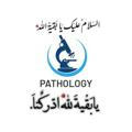 Pathology TQ