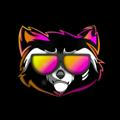 Rocket Raccoon (PoS) Channel