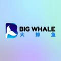 BIG WHALES 大鲸鱼🇨🇳🐳