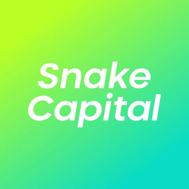 Vladislav Petliuk | Snake Capital