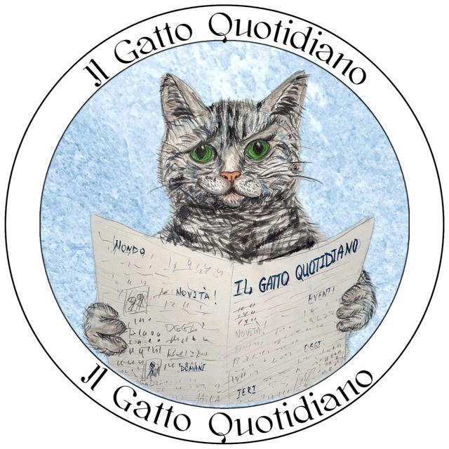 Il Gatto Quotidiano