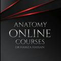 Thorax Anatomy Dr Hamza Hassan