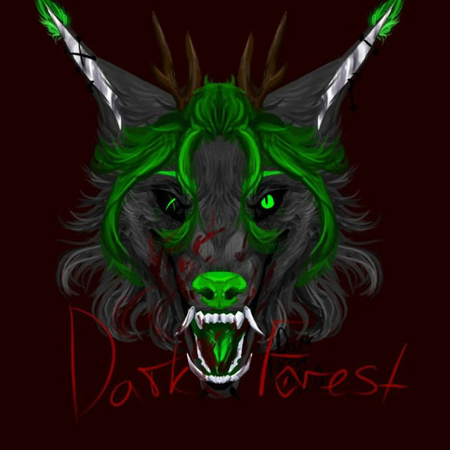 0_dark_forest_0