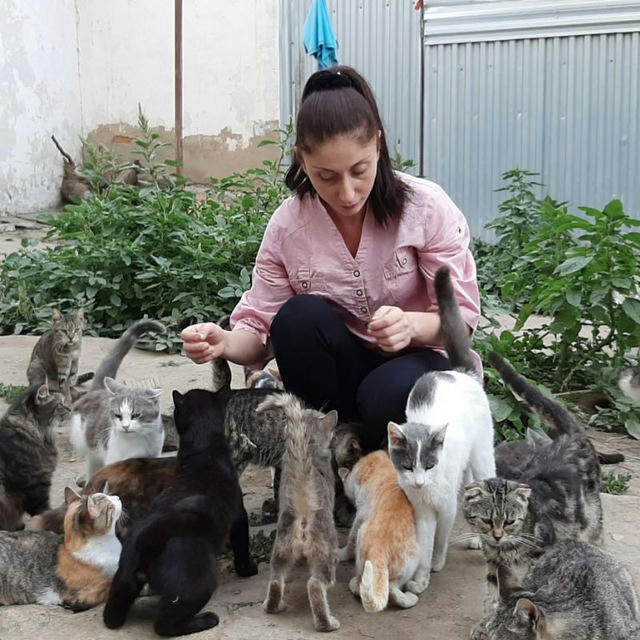 Ася и четвероногие 🐕🐈🦝