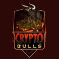 Crypto Bulls Portal