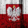 Польські пісні 🦅