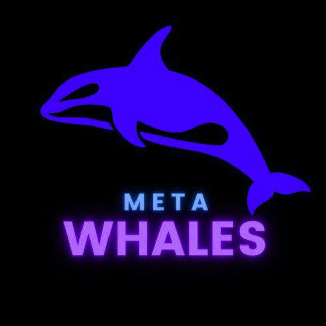 Meta Whales 🐋