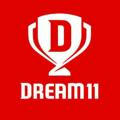 Dream 11 prediction club