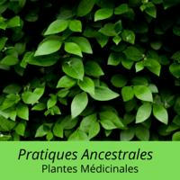 Pratiques ancestrales - Plantes médicinales