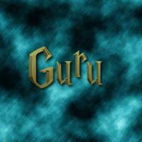 GURU BHAI ™(Backup )