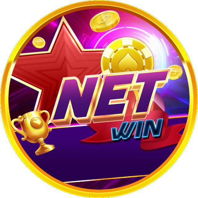 Netwin Đẳng Cấp Top 1