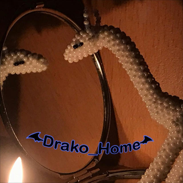 🐉Drako_Home