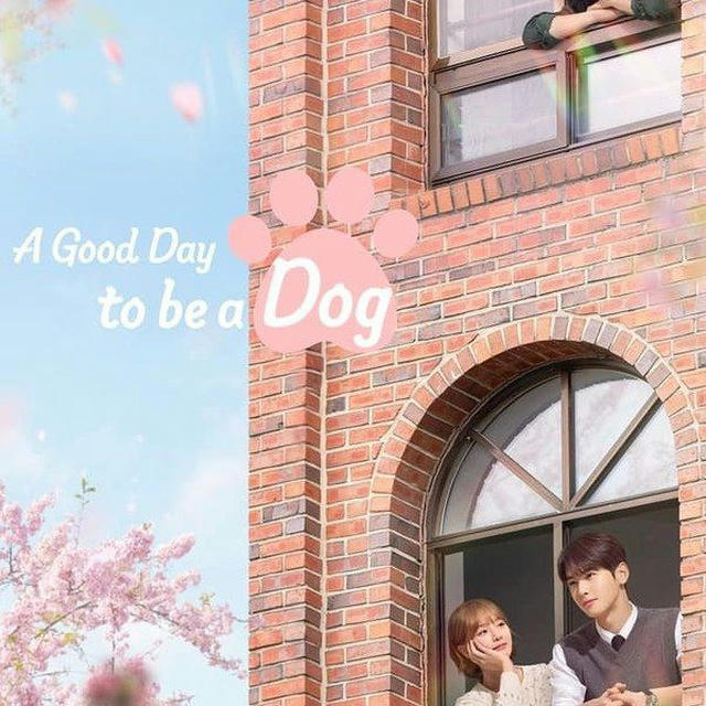 A Good Day to Be a Dog[K drama]Eng Sub