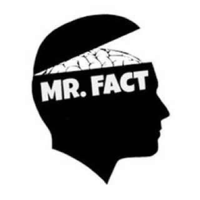 Mr.Fact