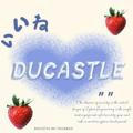 Ducastle! : OPEN DAILY