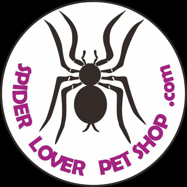Channel lelang spider lover petshop