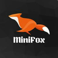 MiniFox VPN