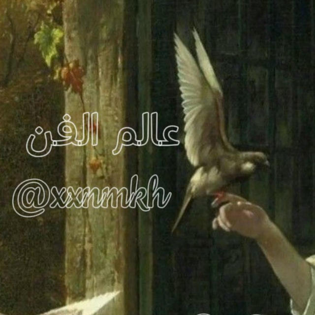 عالم الفن °.○