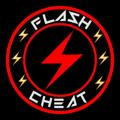 Flash Cheat