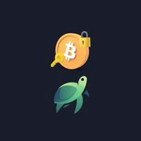 Turtle Crypto