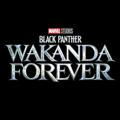 Black phanter wakanda forever