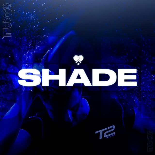 SHADE — прогнозы и аналитика CS2 & D2