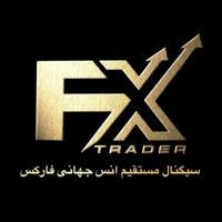 Forex trader4